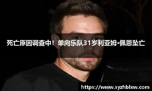 死亡原因调查中！单向乐队31岁利亚姆·佩恩坠亡